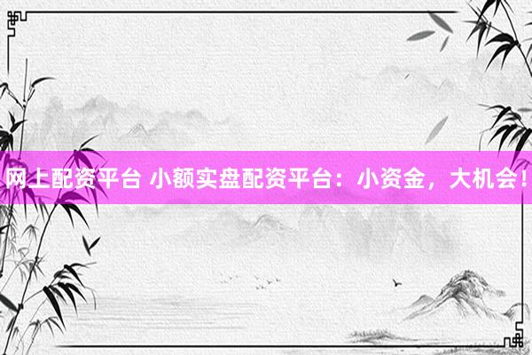 网上配资平台 小额实盘配资平台：小资金，大机会！