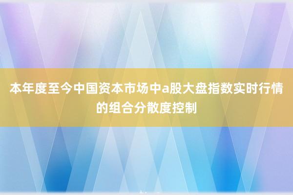 本年度至今中国资本市场中a股大盘指数实时行情的组合分散度控制