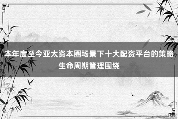 本年度至今亚太资本圈场景下十大配资平台的策略生命周期管理围绕