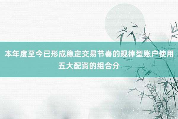 本年度至今已形成稳定交易节奏的规律型账户使用五大配资的组合分
