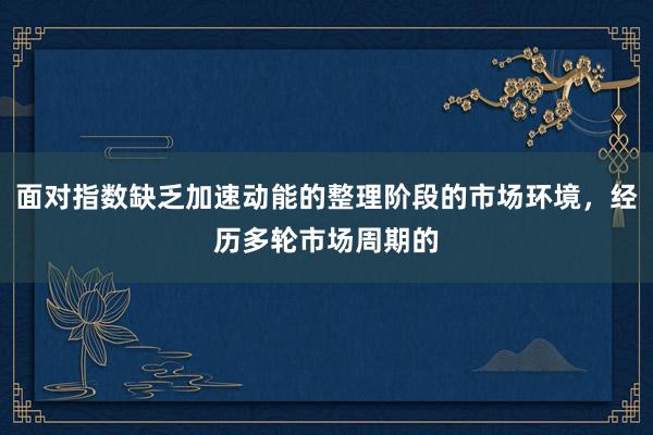 面对指数缺乏加速动能的整理阶段的市场环境，经历多轮市场周期的