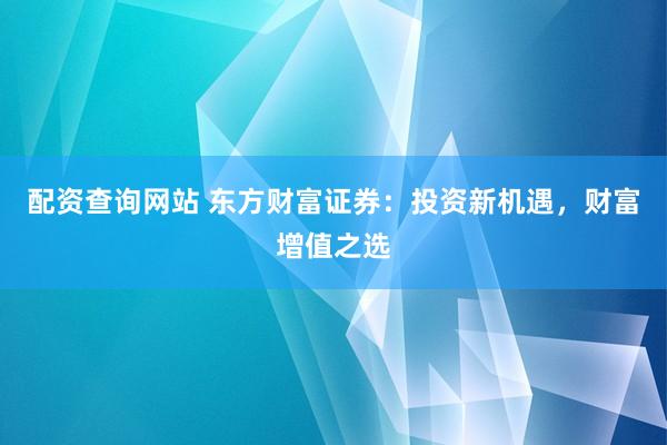 配资查询网站 东方财富证券：投资新机遇，财富增值之选