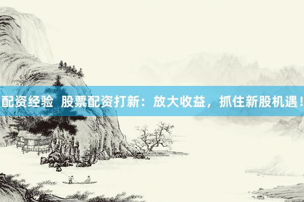 配资经验  股票配资打新：放大收益，抓住新股机遇！